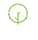 עץ מי